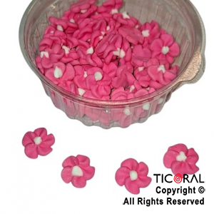 DURAZNO GRANDE FUCSIA x 60